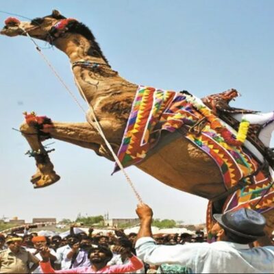 Tilwara mallinathji mela